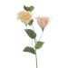 Eustoma artificila, roz-piersica, 60 cm Emerald